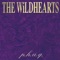 Baby Strange - The Wildhearts lyrics