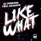Like What (feat. Devonte & DJ Rocky) - DJ Derezon lyrics