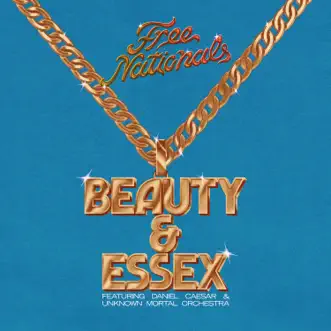 Beauty & Essex (feat. Daniel Caesar & Unknown Mortal Orchestra) by Free Nationals song reviws