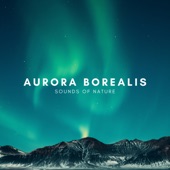 Aurora Borealis Sounds of Nature artwork