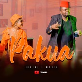 Pakua (feat. Mejja) artwork