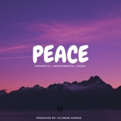 Peace artwork