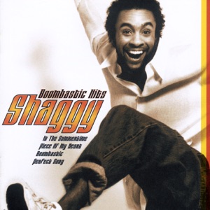 Shaggy - In the Summertime - Line Dance Musik