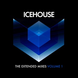 Icehouse - Nothing Too Serious