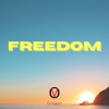O. Viatori - Freedom!