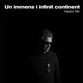 Un Immens I Infinit Continent artwork