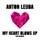 Anton Leuba-My Heart Blows Up