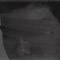 Someone (feat. Daniel Gray) - RBNZ lyrics
