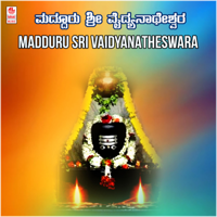 S. P. Balasubrahmanyam, Rajesh Krishnan, Rajkumar Bharathi & Vani Jairam - Madduru Sri Vaidyanatheswara artwork