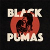 Colors by Black Pumas iTunes Track 1