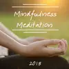 Mindfulness Meditation 2018 - Beautiful Nature Relaxation Series, Autumn Spiritual Contemplation album lyrics, reviews, download