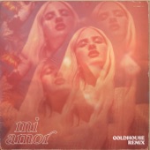 Mi Amor (GOLDHOUSE Remix) artwork