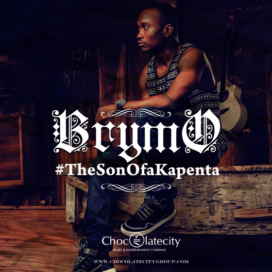Cover artwork for Ara