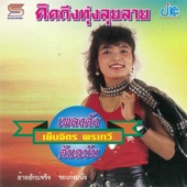 ชุดเพลงดังต้นฉบับ คิดถึงทุ่งลุยลาย artwork