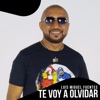 Te Voy a Olvidar - Single