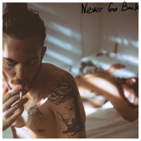 Dennis Lloyd - Never Go Back artwork