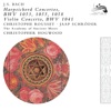 Christopher Hogwood & Academy of Ancient Music - Violin Concerto No. 1 in A Minor, BWV 1041: I. (Allegro Moderato)