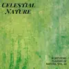 Stream & download Celestial Nature - Nurturing Flavors of Nature, Vol. 10