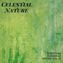Celestial Nature - Nurturing Flavors of Nature, Vol. 10 by Waterfall Sounds, White Noise Meditation & Nature Sounds album reviews, ratings, credits