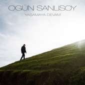 Yaşamaya Devam artwork