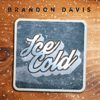 Brandon Davis - Ice Cold  artwork