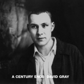 David Gray - Shine