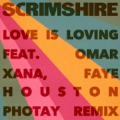 Love Is Loving (feat. Faye Houston, Omar & Photay) [Photay Remix] artwork