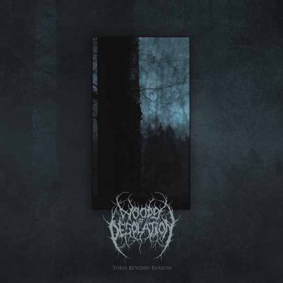 Cover artwork for Torn Beyond Reason