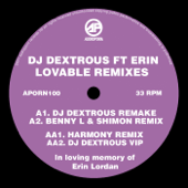 Lovable (feat. Erin Lordan) [Harmony Remix] - DJ Dextrous