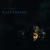 Black Feathers album lyrics, reviews, download