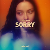 Sorry (Extended) artwork