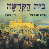 תהילה לדוד artwork