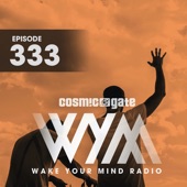 Wake Your Mind Radio 333 artwork