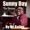 Sunny Day (The Remixes) - EP