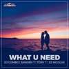 What U Need (feat. DJ Nicolas) - Single