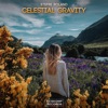 Stefre Roland - Celestial Gravity