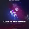 Lost in the Storm (feat. Eric 6ray) - Single album lyrics, reviews, download