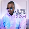 Dushi - Single (feat. Dj Xeno) - Single