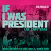 If I Was President (Remix) [Playback] [feat. Boog Brown, Mega Ran, Sa-Roc & QVLN] - Single album lyrics, reviews, download