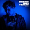 Breng Mij Terug - Single