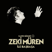 Üsküdar'a Giderken - Zeki Müren