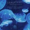 Disphotic - Somersault lyrics