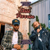 Ozer x Professa Gabel - Still Purrin'