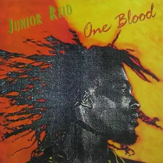 One Blood by Junior Reid album reviews, ratings, credits