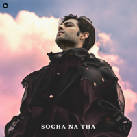 Zaeden - socha na tha - Single artwork