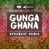 Gunga Ghana (Afrobeat Remix) artwork