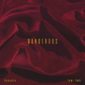 Dangerous (feat. Tomi Owó) artwork
