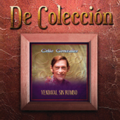 Vendaval Sin Rumbo (De Colección) - Celio González