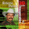 Roberto Pulido: 30 Éxitos Insuperables, 2003