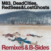 Dead Cities, Red Seas & Lost Ghosts Remixes & B-Sides artwork
